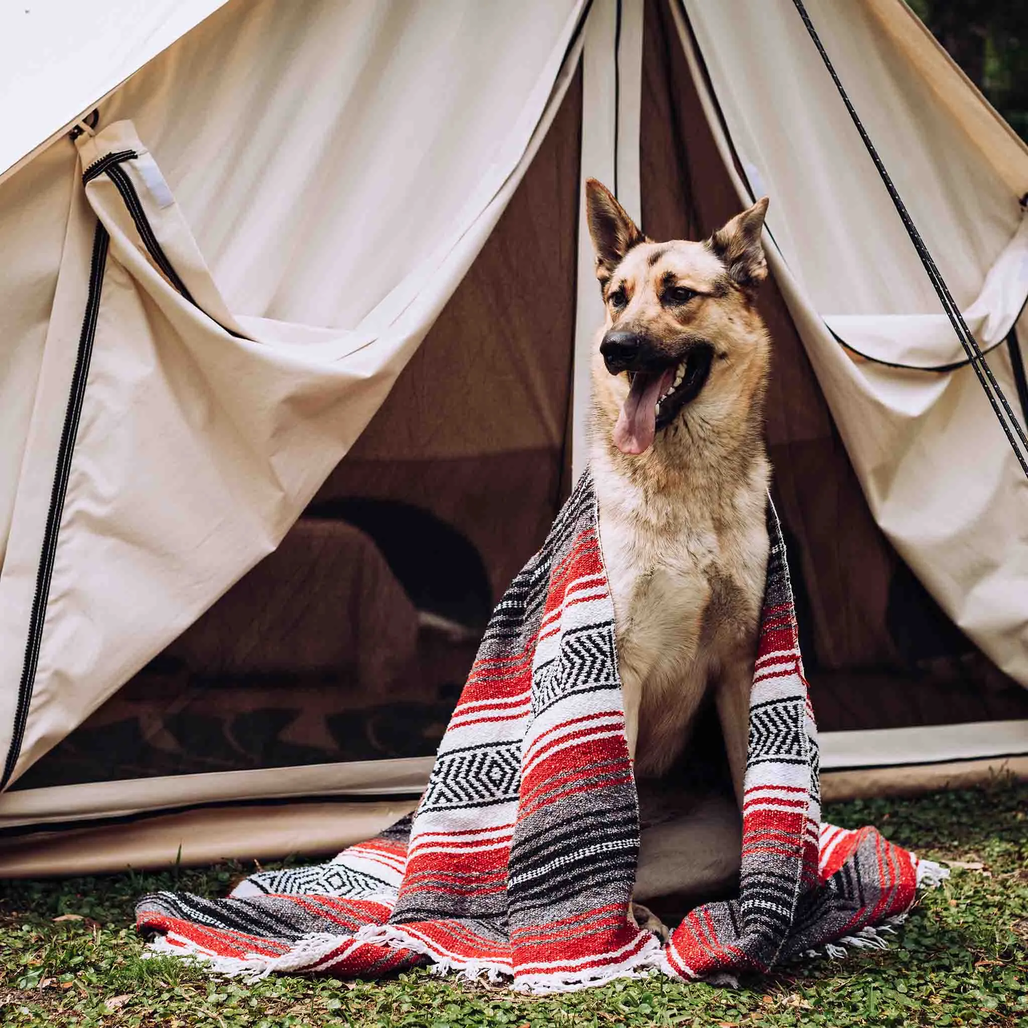 Avalon 13' Canvas Bell Tent