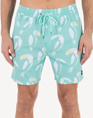 Cannonball 17" Swim Trunk