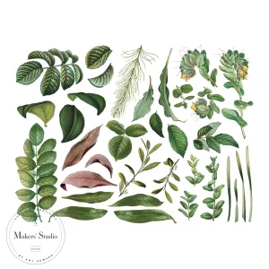 Garden Leaves - Color Transfer 16"x12"