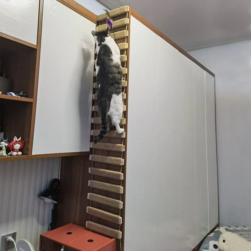 Kitty Krossing Cat Rope Bridge